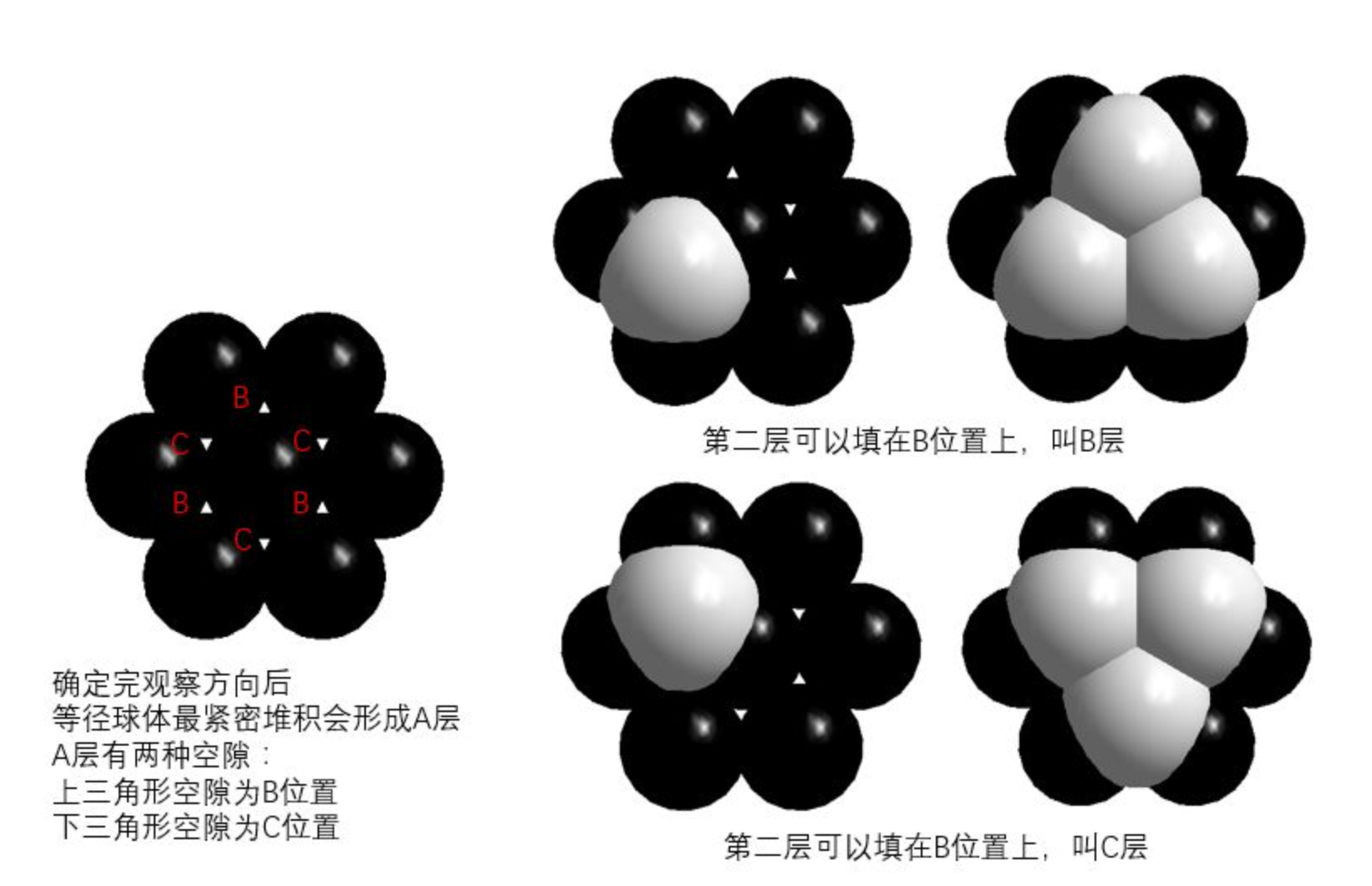 image-20220302095417472
