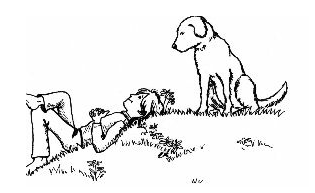 image-20240614112256652
