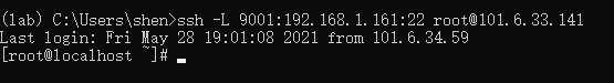 image-20210529190009292