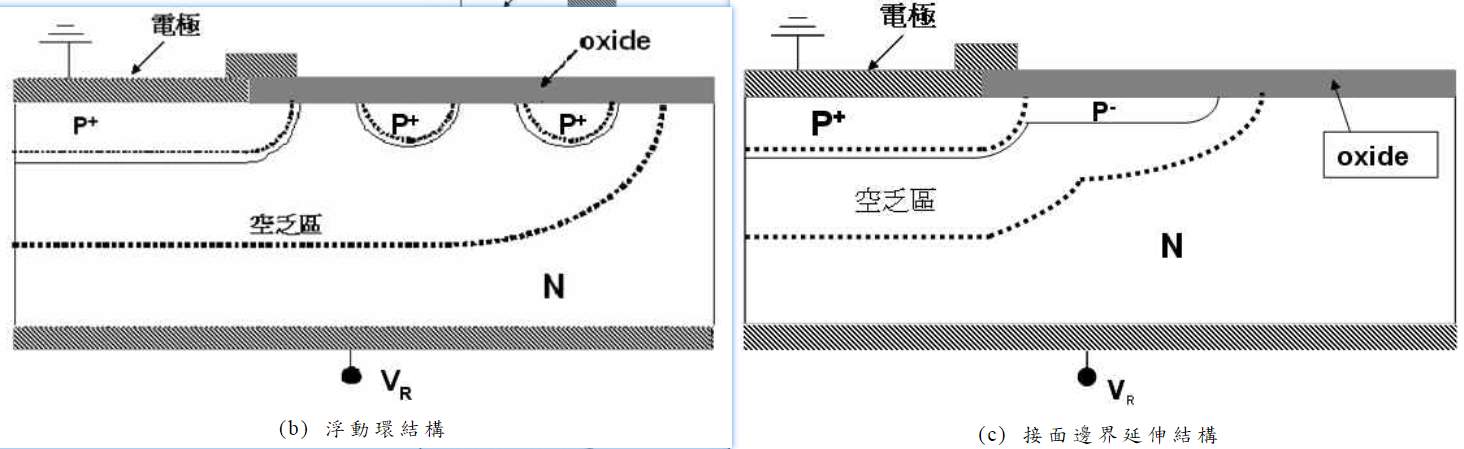 image-20230323195730892