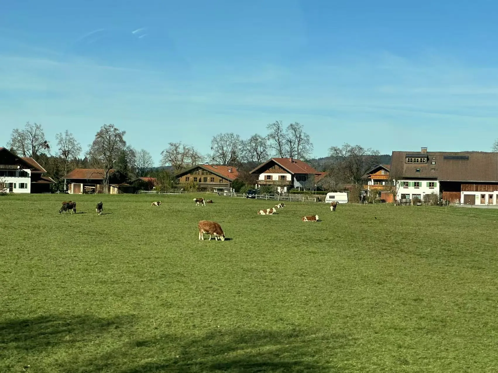 image-20251108164617788